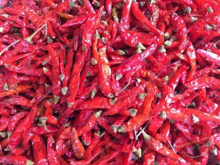 Stainless Steel Chili Pepper Stem Cutting Machine Chili Processing