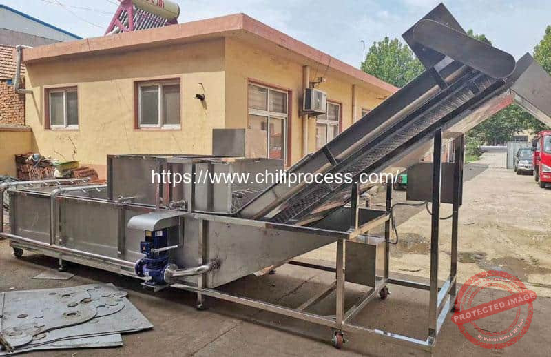 Automatic-Chili-Pepper-Water-Washing-Machine-for-Mexico-Customer