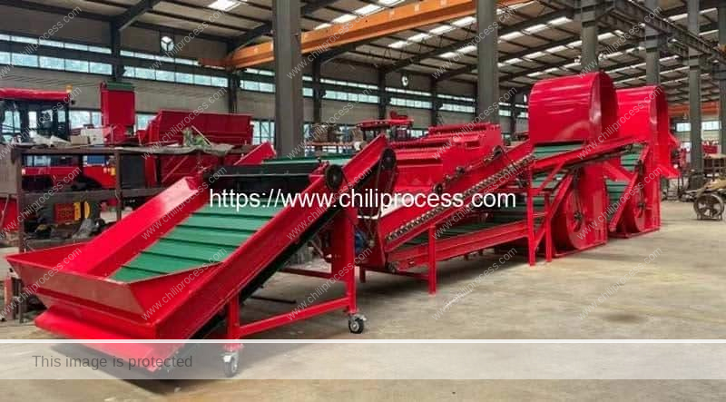 Automatic-Harvested-Chili-Pepper-Impurity-Cleaning-Line-for-Sale