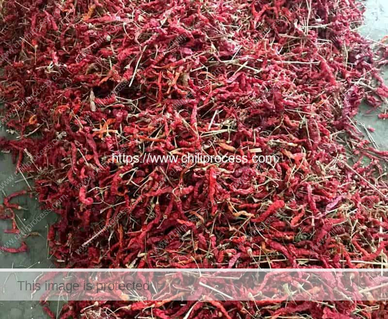Automatic-Moving-Type-Chili-Pepper-Harvester-Result