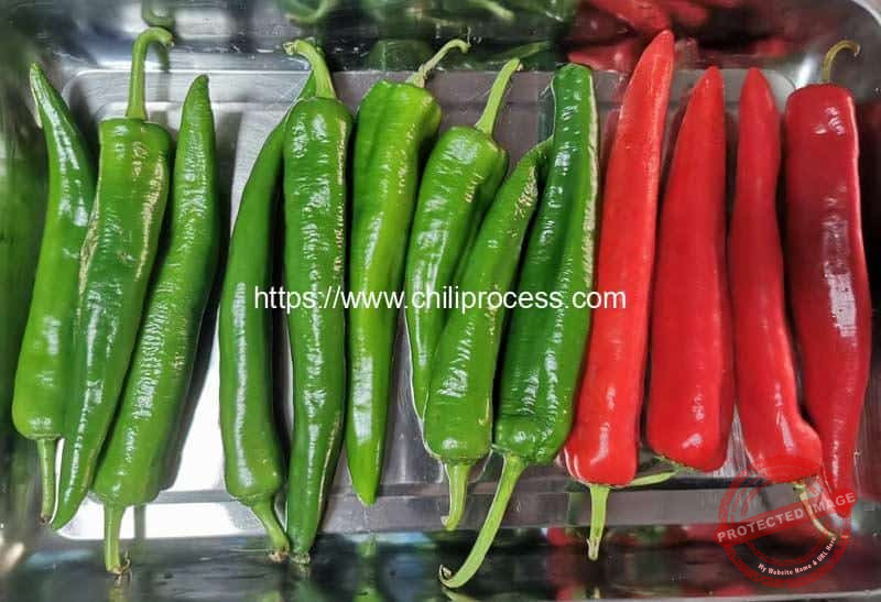 Automatic-Fresh-Chili-Pepper-Half-Cutting-Machine