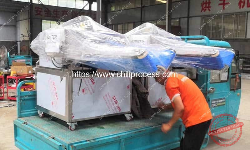 Automatic Fresh Chili Pepper Half Divding Cutting Machine Delivery for Customer Automatic-Fresh-Chili-Pepper-Half-Divding-Cutting-Machine-Delivery-for-Customer